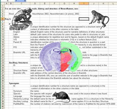 NeuroNames Ontologies